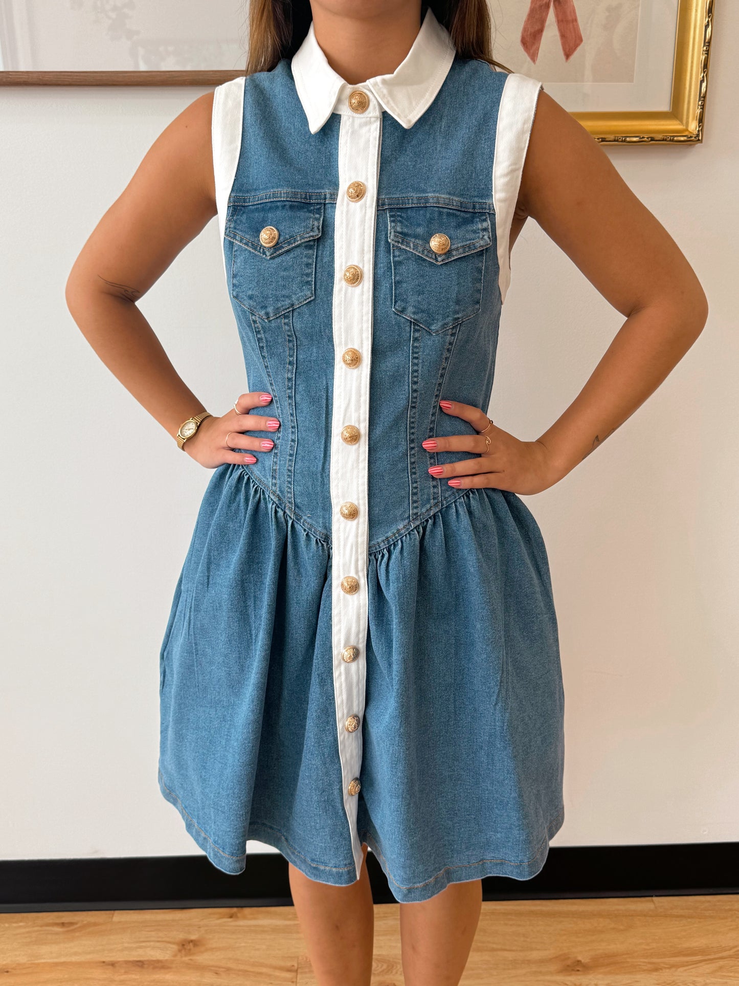 Button Down Trim Denim Dress Dress