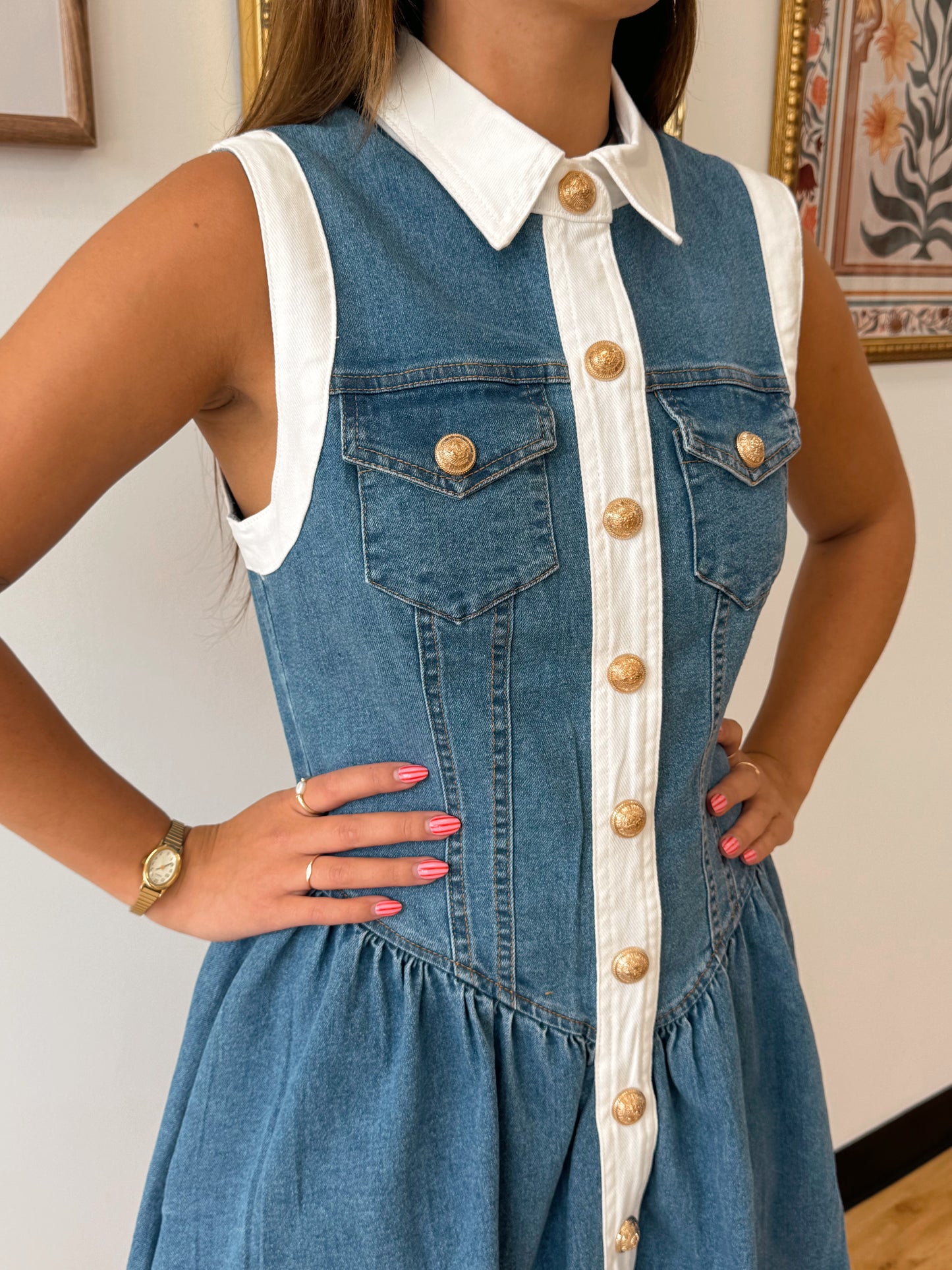 Button Down Trim Denim Dress Dress