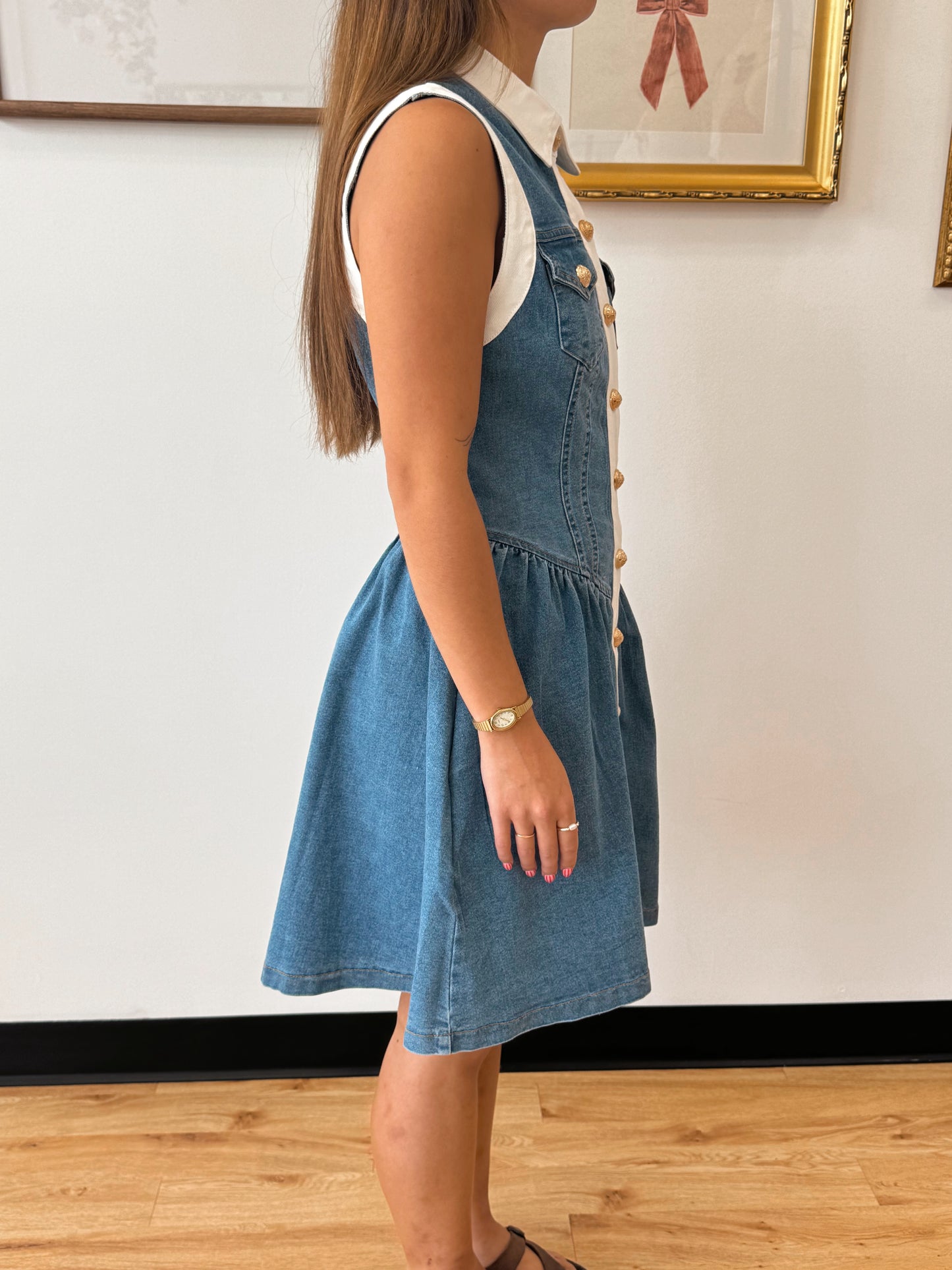 Button Down Trim Denim Dress Dress