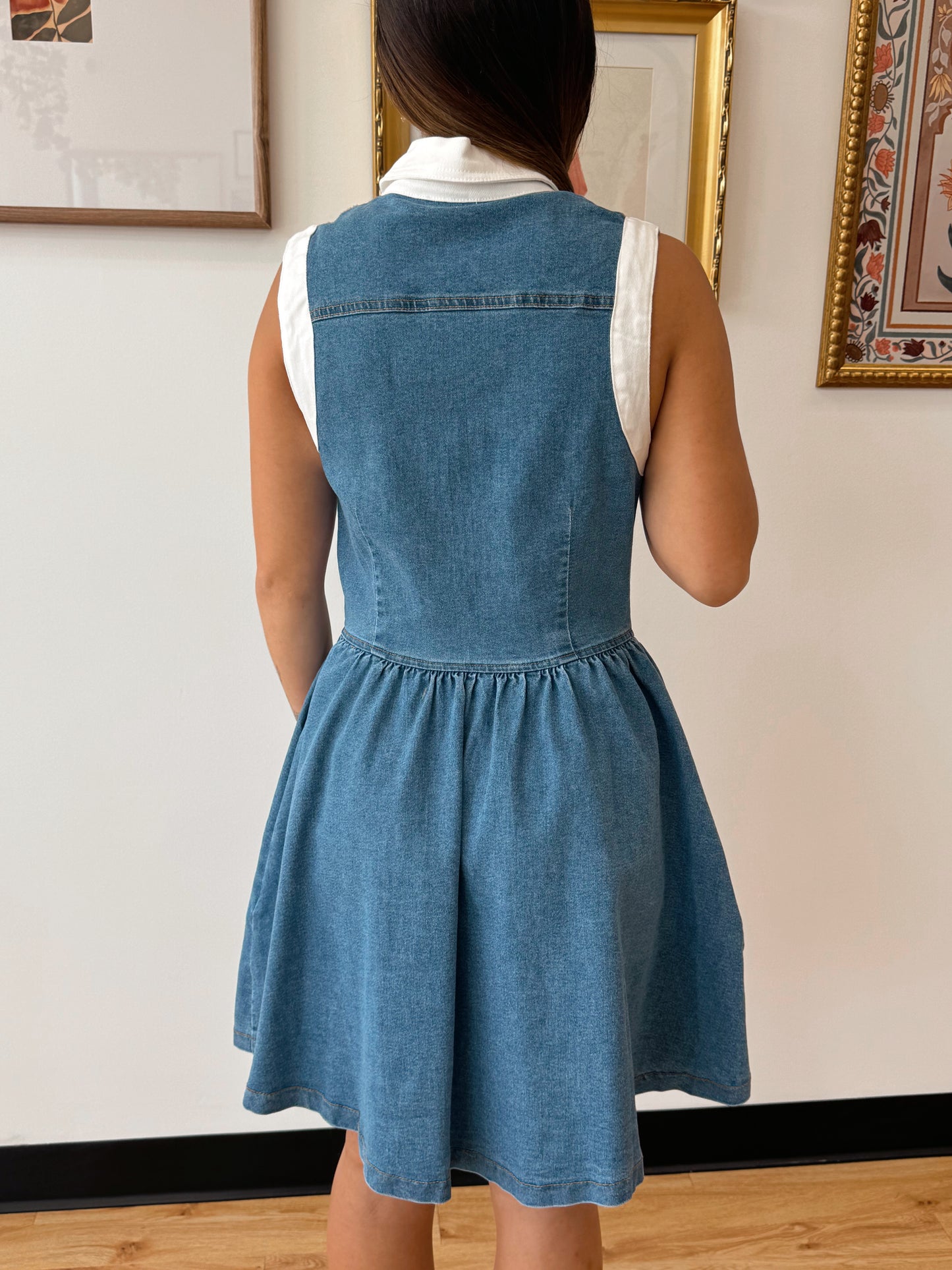 Button Down Trim Denim Dress Dress