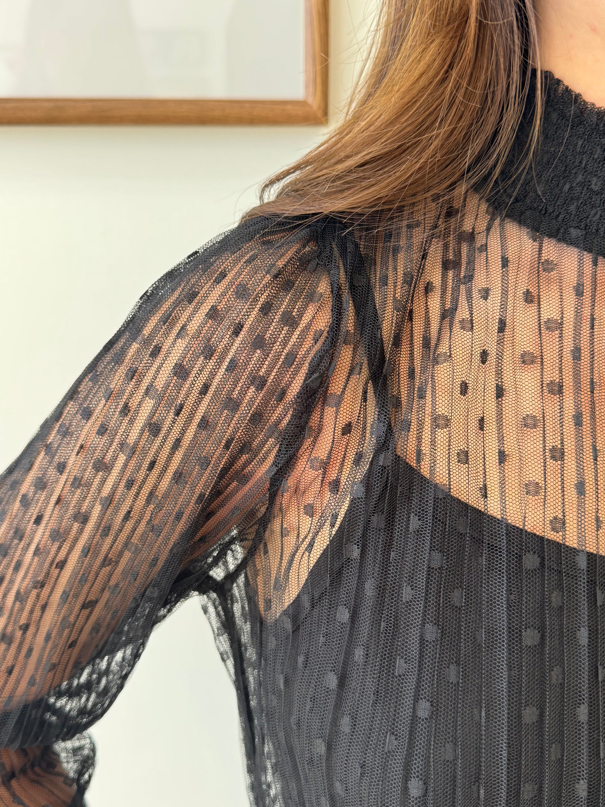 Dotty Lace Sheer Blouse