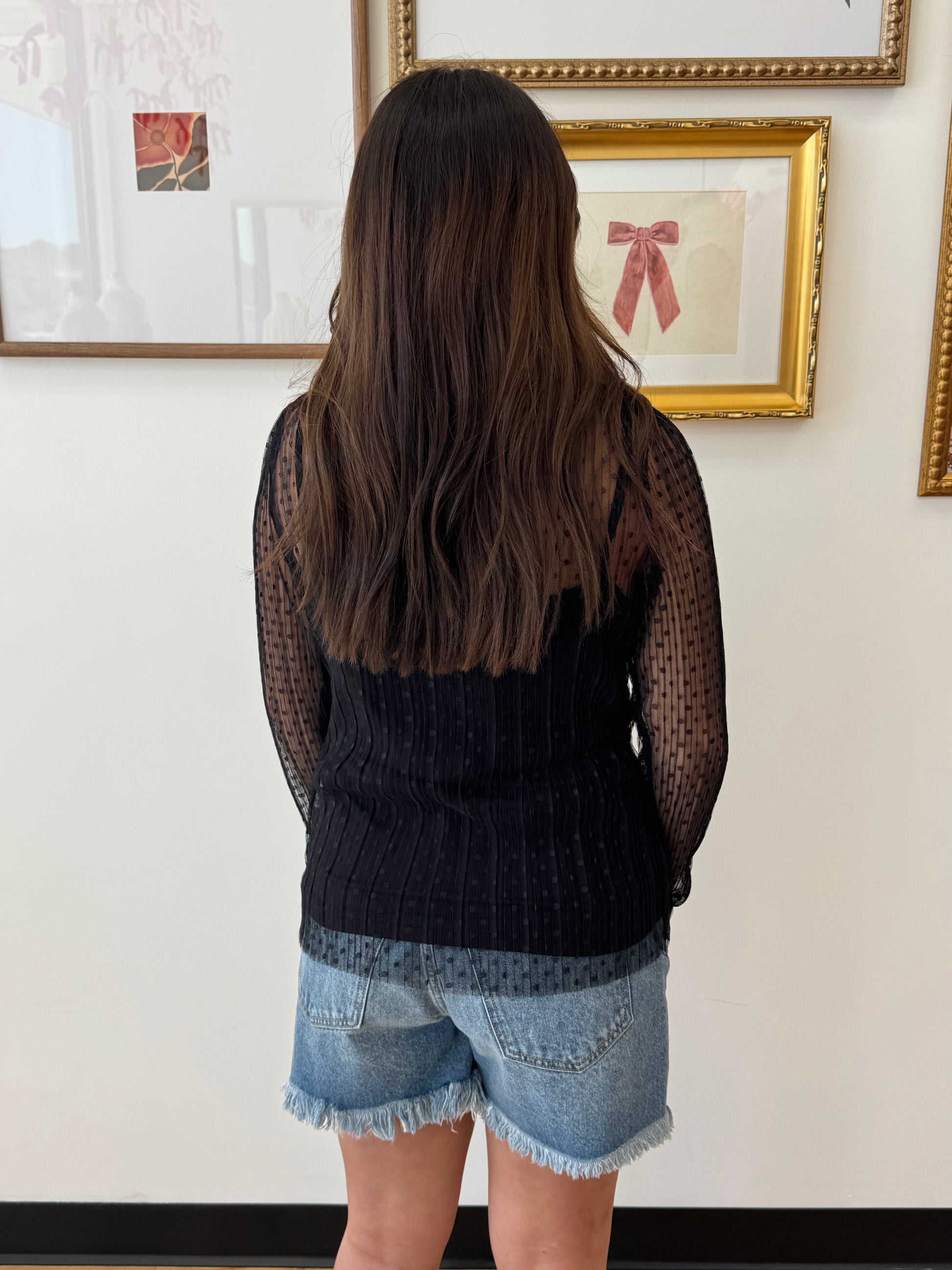 Dotty Lace Sheer Blouse