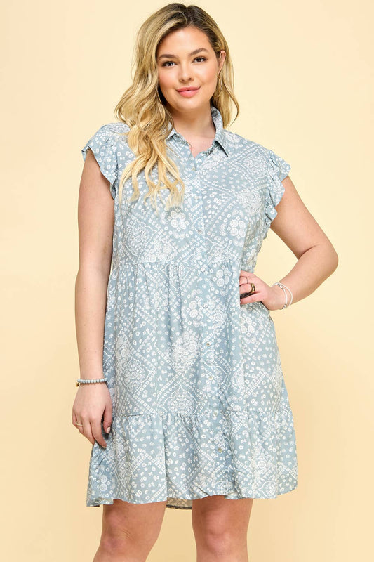 Plus Size Paisley Dress