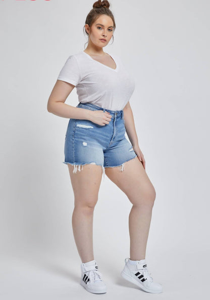 High Rise Shorts