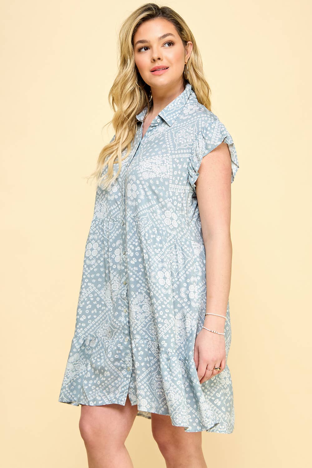 Plus Size Paisley Dress