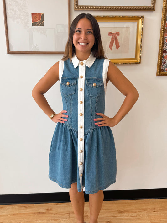 Button Down Trim Denim Dress Dress