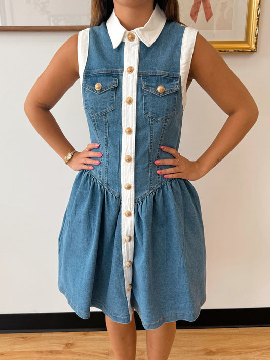 Button Down Trim Denim Dress Dress