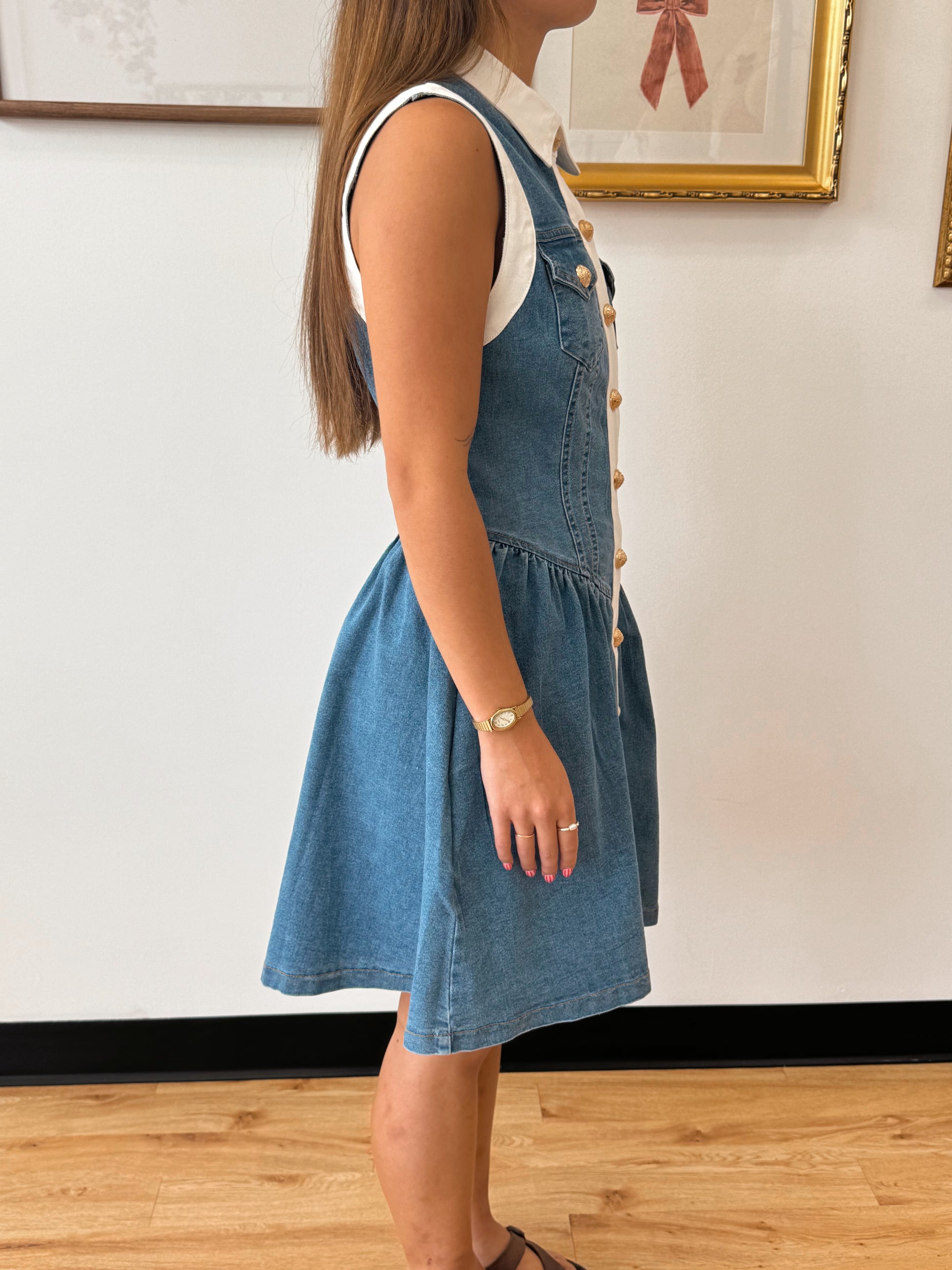 Button Down Trim Denim Dress Dress