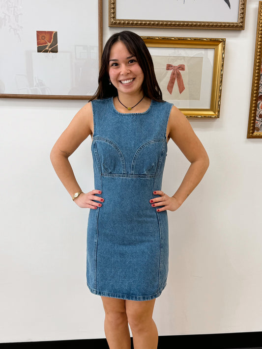 Stitch Detail Denim Dress Dress