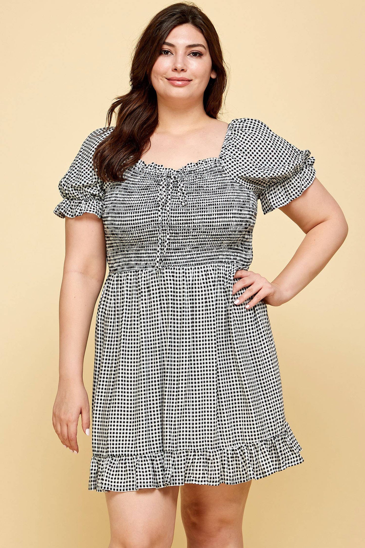 Plus Size Gingham Dress