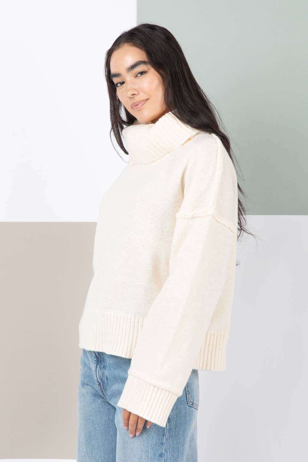 Turtleneck Cozy Sweater