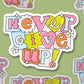 Never Give Up Sticker