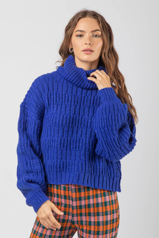 Turtleneck Textured Knit Sweater