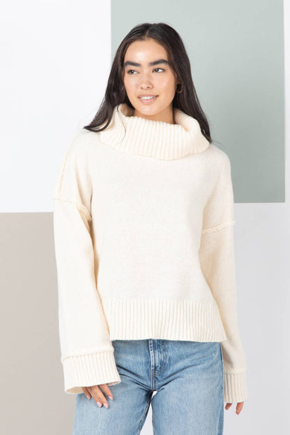 Turtleneck Cozy Sweater